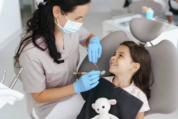 Professional Holistic Dental Care Services in Mccullom Lake, IL
